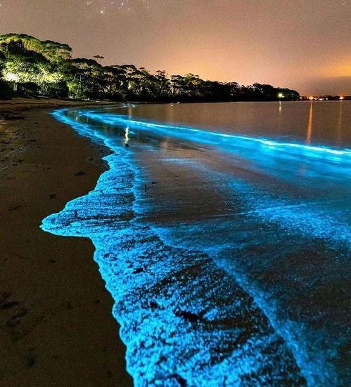 蓝色的大海在线观看,在线观看大海的壮丽画卷 第3张 蓝色的大海在线观看,在线观看大海的壮丽画卷 第3张