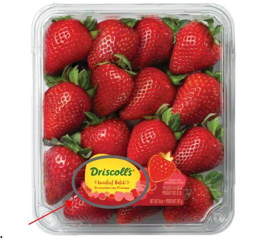 中转盘最新爆料甜蜜草莓,中转盘最新爆料揭秘浪漫爱情故事 第1张 中转盘最新爆料甜蜜草莓,中转盘最新爆料揭秘浪漫爱情故事 第1张